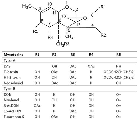 Mycotoxins in Cereal-Based Products and Their Impacts on the Health of ...