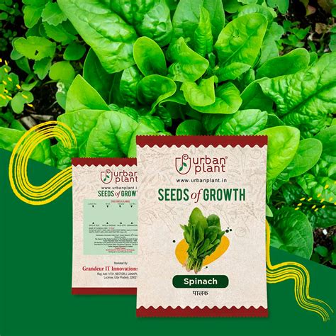 Winter Seeds Collection