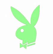 Image result for Bunny Pinterest