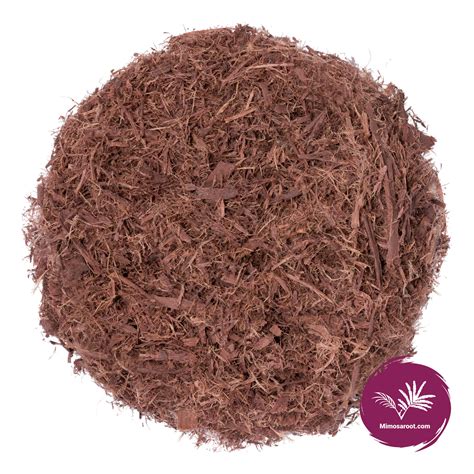 Mimosa Hostilis root bark: health benefits and uses - Mimosaroot.com