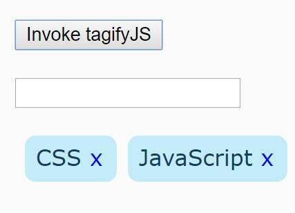 Image result for JavaScript Tags