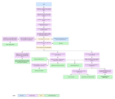 Spinal Cord Compression 的图像结果