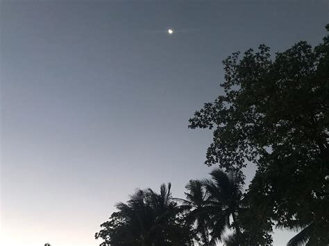 MABUHAY DUMAGUETE DIVE CENTER (2025) All You Need to Know BEFORE You Go ...