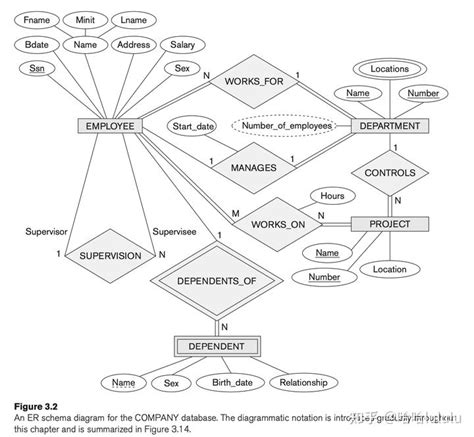 Database Programming 的图像结果