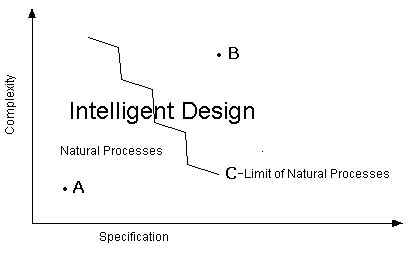 Image result for The Intelligent Design Theory
