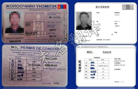国外驾照怎么换中国驾照？ - 知乎
