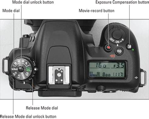 Image result for Nikon D7500 DSLR Camera Tutorial