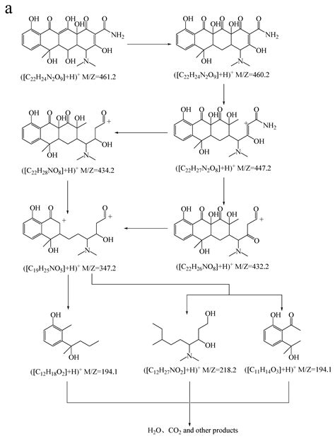 Flower-Shaped C-Dots/Co3O4{111} Constructed with Dual-Reaction Centers ...