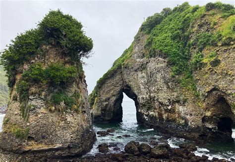 THE BEST Places to Visit in Curinanco (2025) - Must-See Attractions