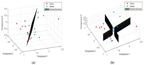 Raman Spectroscopy Analysis for Optical Diagnosis of Oral Cancer Detection