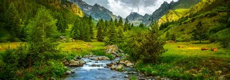 Image result for Primary Sector