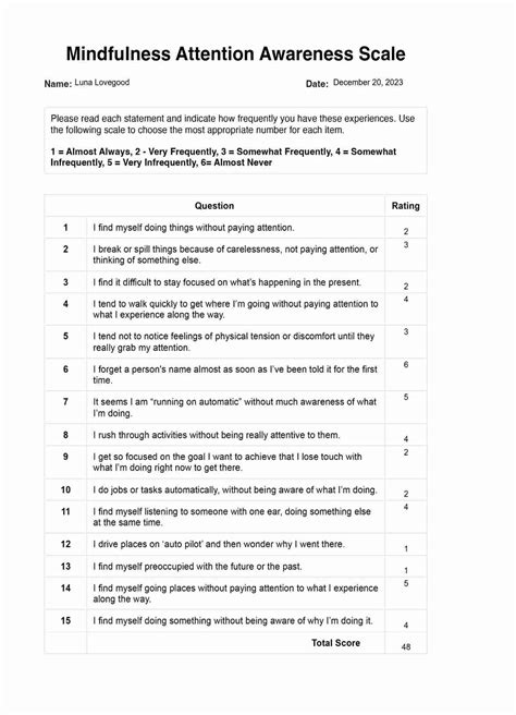 Mindful Attention Awareness Scale