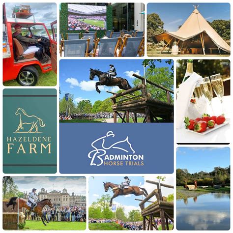 Eventing Ireland & Badminton Horse Trials (On BIG Screen??), Hazeldene ...