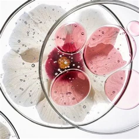 Fixderma Nigrifix Underarm Roll on with AHA, Lactic Acid, Mandelic Acid ...