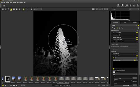 Image result for NX Studio Editing