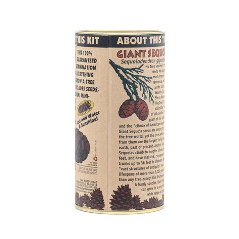 Giant Sequoia | Seed Grow Kit - SequoiaTrees.com