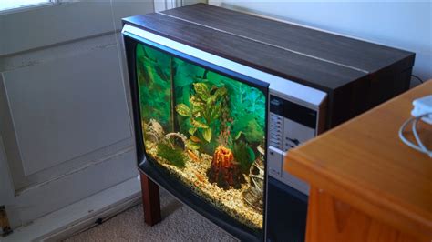 Bildergebnis für tv fish aquarium