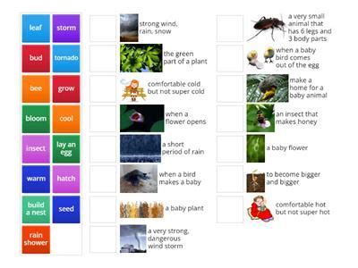 Image result for Spring a Words for First Graders