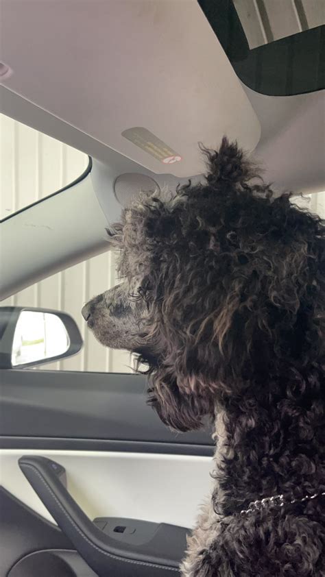 stina on Twitter: "I gave him a lil' bun so he can see now https://t.co/kfRFhRXrZC" / Twitter