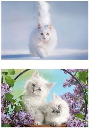 Cute Cat Wall Sticker Combo Posters|Poster for Dining Room/Cupboards ...