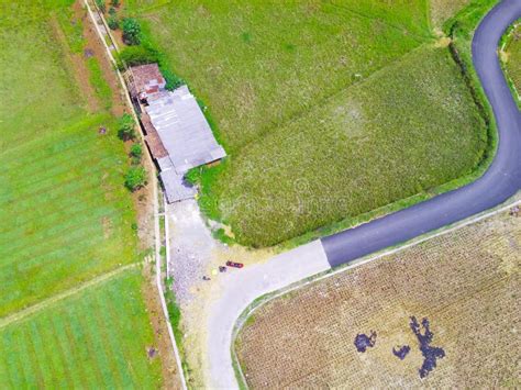 Image result for 3-Way Intersection