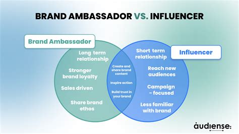 What Is A Figs Ambassador at David Desantis blog