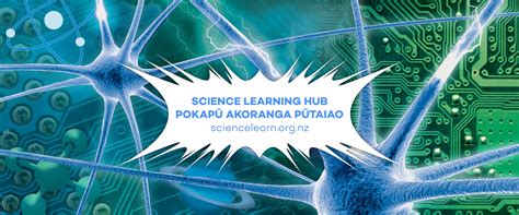 Image result for Science Learning Hub Answers