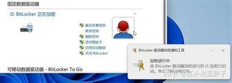 BitLocker Basics 的图像结果