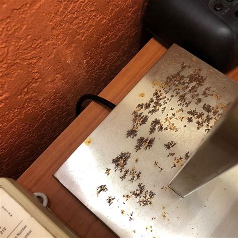 DAYS INN BY WYNDHAM DALTON - Motel Reviews, Photos, Rate Comparison ...