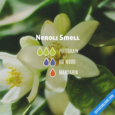 Neroli Smell | DiffuserBlends.com - what is the smell of neroli