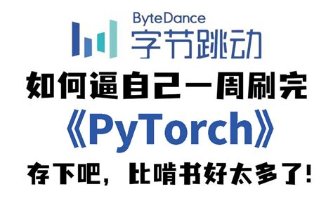 Pytorch Org Tutorial 的图像结果