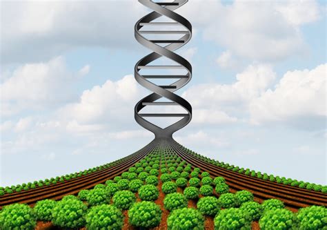 Image result for The Intelligent Design Theory