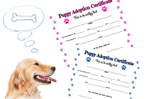 Free Printable Dog Training Plan Template to Download - Basically Dogs