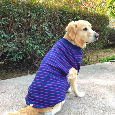Buy Dog T-Shirts online in India | Cotton Dog T Shirts | PoochMate