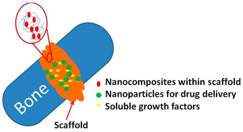 Nanoparticle- and Nanoporous-Membrane-Mediated Delivery of Therapeutics