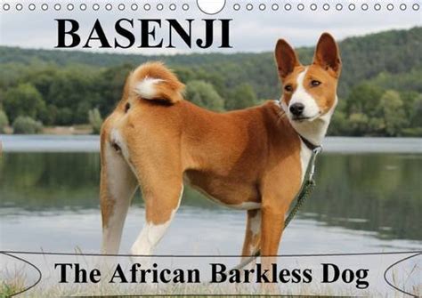 Buy Basenji the African Barkless Dog 2017: The Basenji is a Dog Breed ...