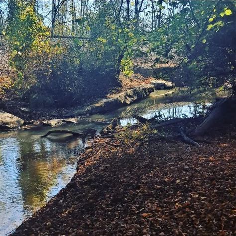 Kayak and Fishing Pole Rental — Whistlestop Manor