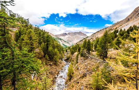 Nature Valley 的图像结果