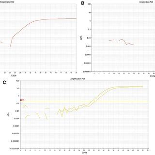 Real-Time PCR Graph 的图像结果