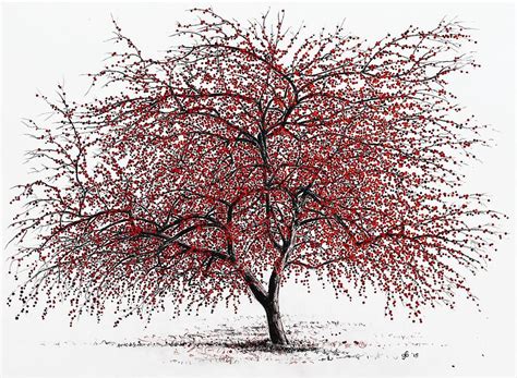 Chokecherry Tree MI 的图像结果