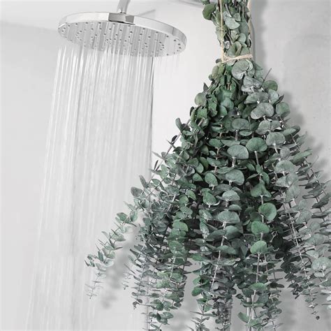 Amazon.com: 12 PCS Dried Eucalyptus Bundle for Shower - 17" Large ...
