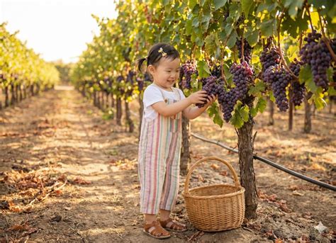 The Playday Pocket Dungarees – Hampp