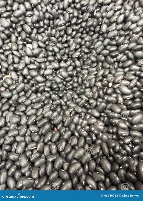 Black Beans Dried stock image. Image of beans, cooking - 46239713