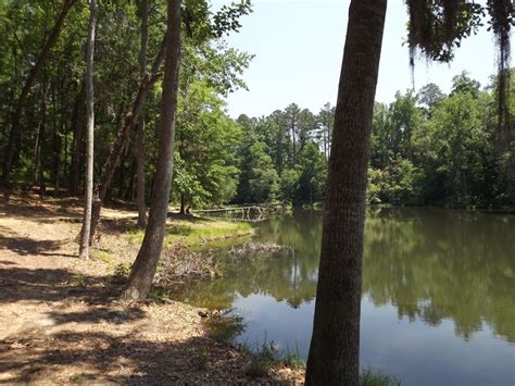Sherling Lake Campground Alabama: Camping, Fishing & Fun