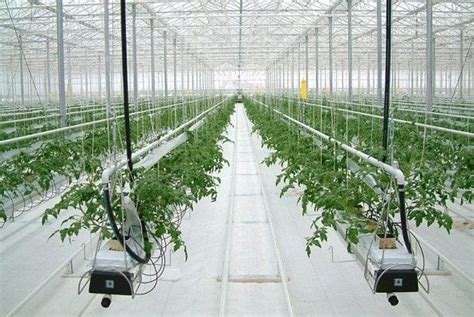 High-Tech Farm 的图像结果