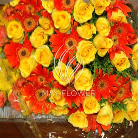 Large Roses and Gerbera Hand Bunch – May Flower