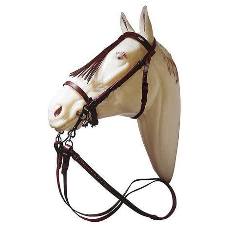 Cabezada Daslö en PVP para pony - Hípica Canalón