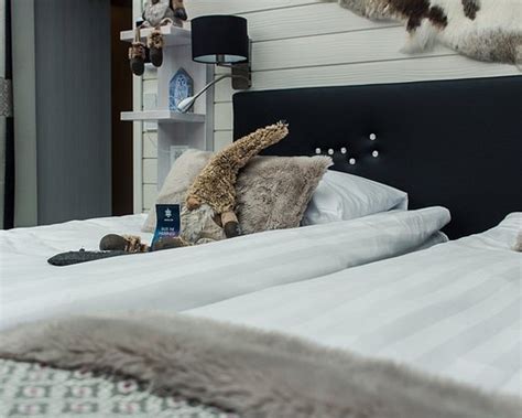 SANTA'S IGLOOS ARCTIC CIRCLE (Rovaniemi) - Specialty Hotel Reviews ...