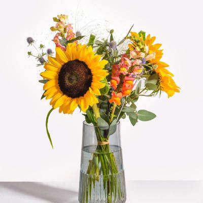 Happy Summer Greetings: Order Flowers Online | Interflora India | ID1350117