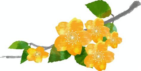 Image result for Top Programming Language Data Tools